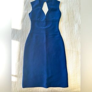 BCBGMaxazria Bodycon Dress
